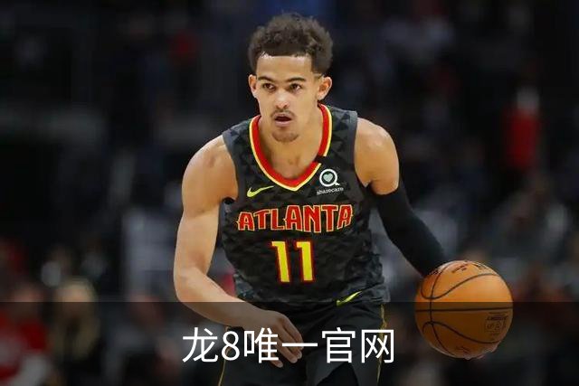 龙8唯一官网公司简介图片